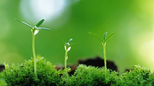 不要判断别人的生活