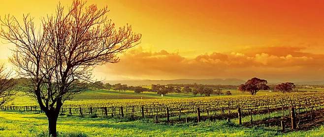 成熟的人就是这样看世界的