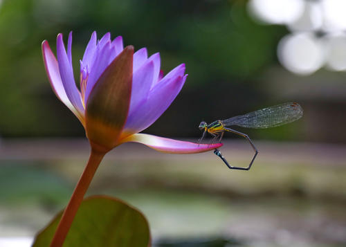 一个人的格局有多大，看这三点